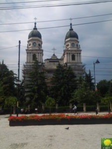 Mitropolia