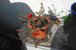 Was ist das?
