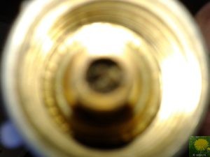 Insekt im Regler
