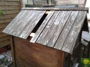 Dach_Stall