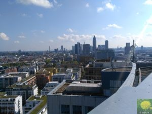 IMG_20150921_120856
