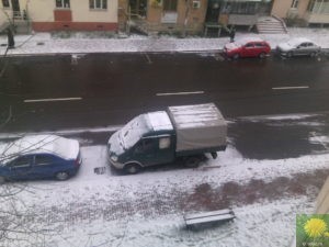 Gazelle mit Schnee