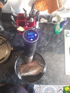 Sous vide Stick