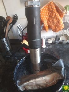 Sous vide Stick