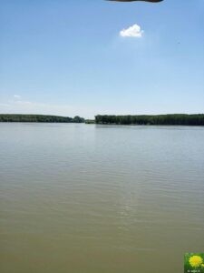 Aussicht auf die Donau