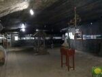 Museum