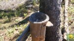 Aschenbecher beim Felsen