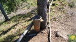 Aschenbecher beim Felsen