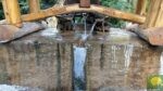 Der Brunnen
