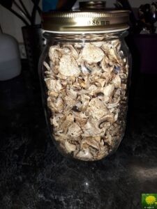 Gedörrte Champignons