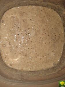 Lebendiger Sauerteig