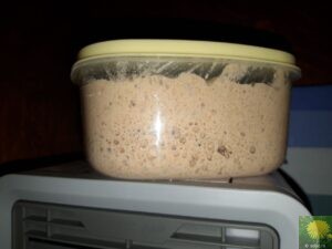 Lebendiger Sauerteig