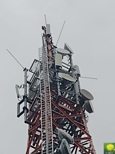 Antennenbild
