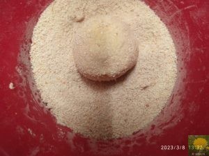 Paniertes Bällchen