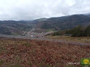 Die Sommerrodelbahn in Todtnau