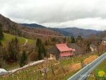 Die Hängebrücke von oben