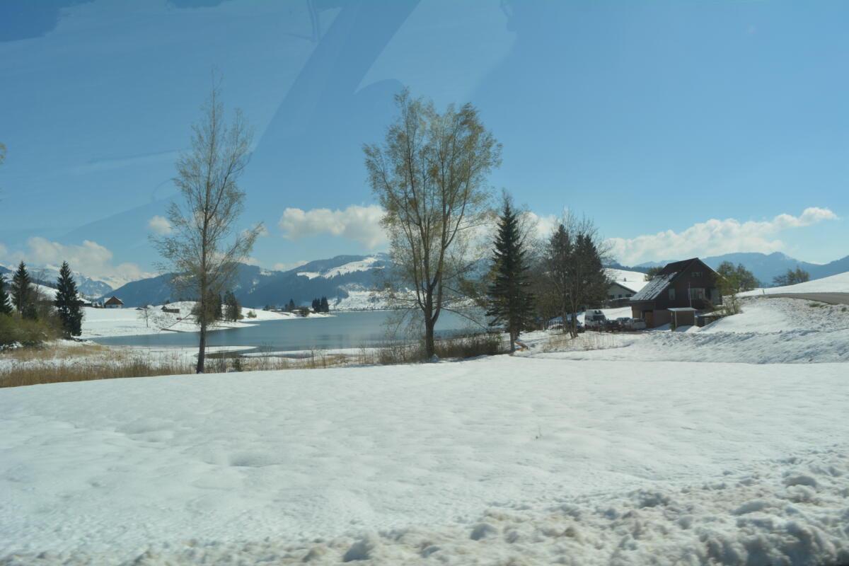 DSC 0420