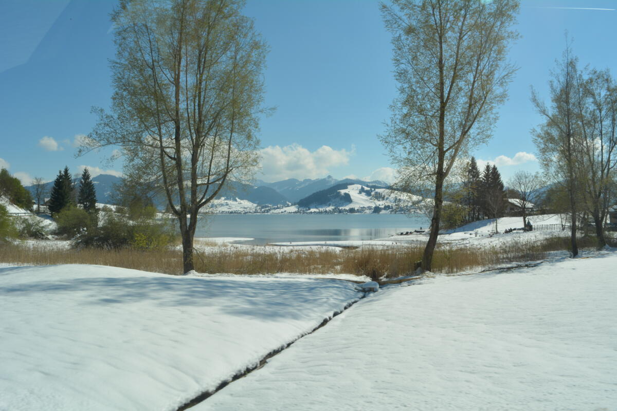 DSC 0421