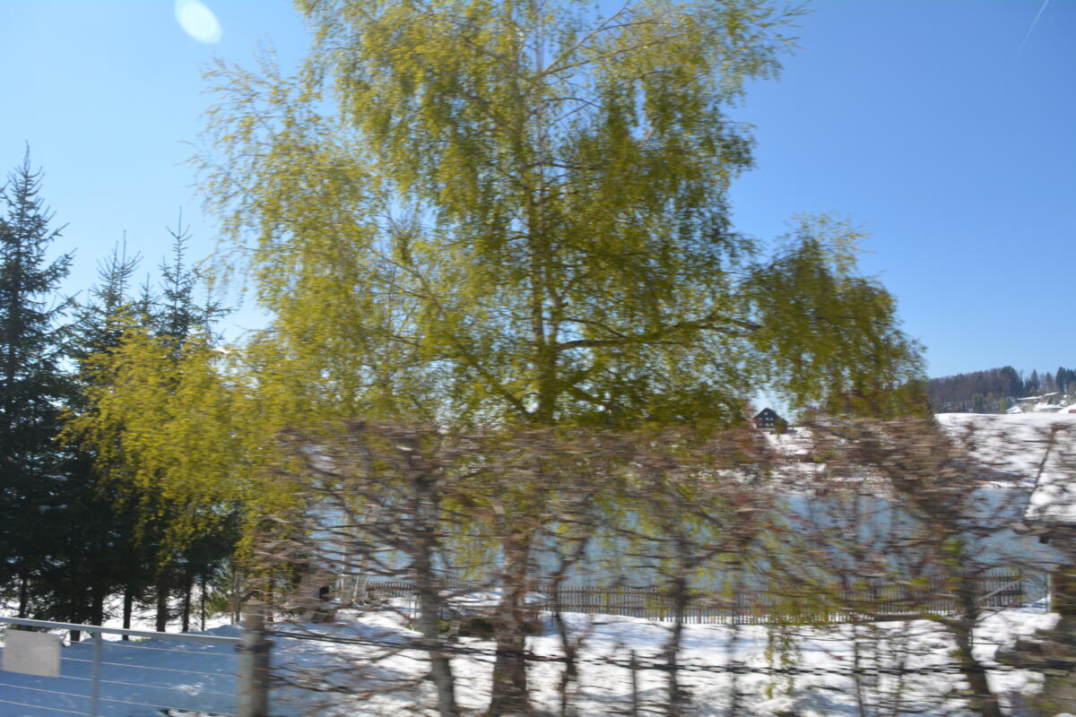 DSC 0424