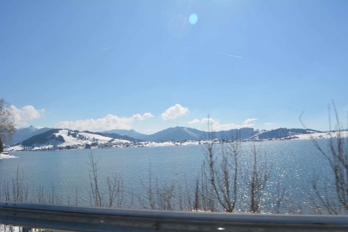 DSC 0429