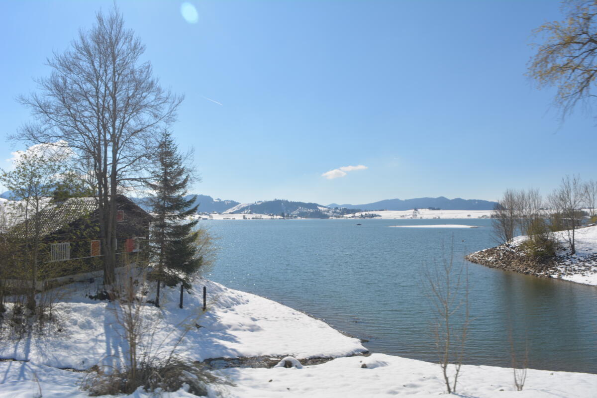 DSC 0436