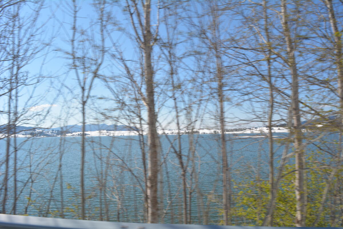 DSC 0439