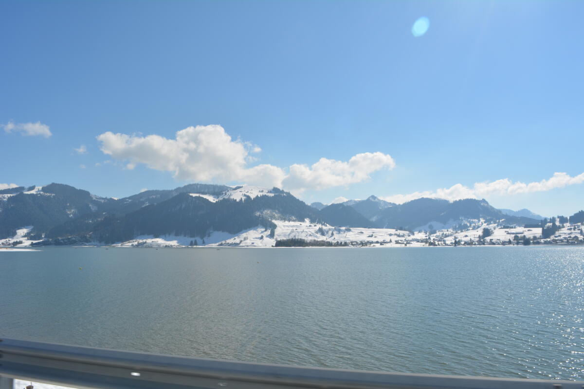 DSC 0450