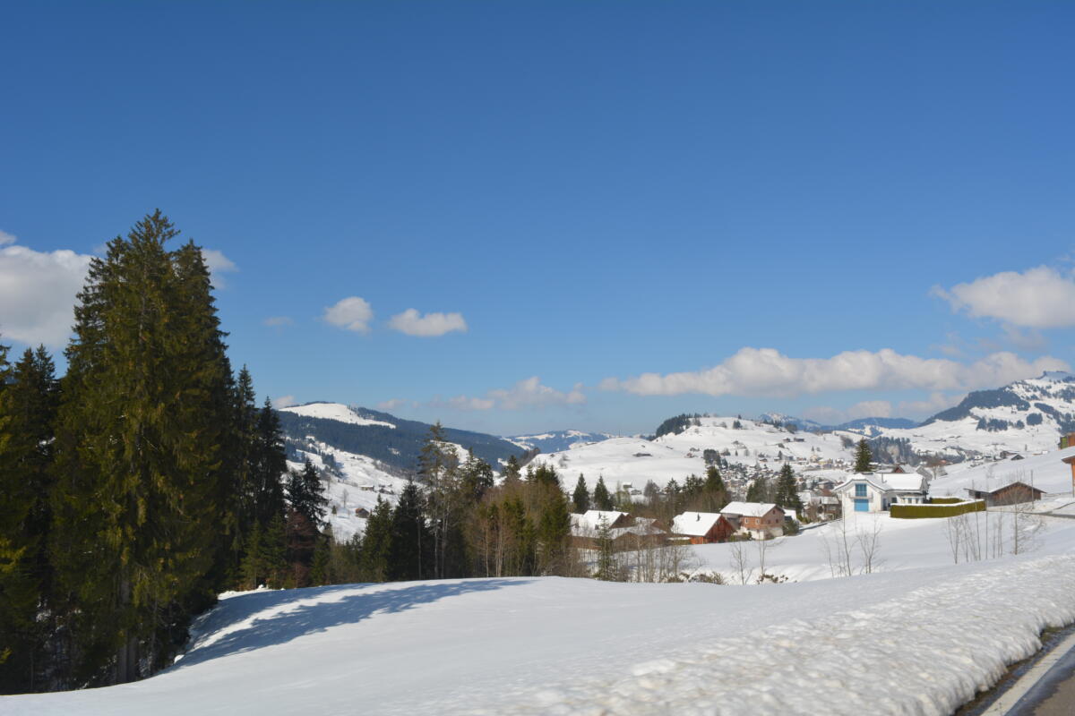 DSC 0496