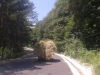 2012-06-30-13-40-24