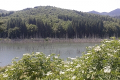 2012-07-05-14-45-42