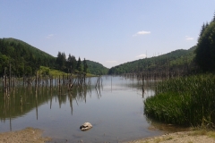 2012-07-05-14-54-36