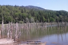 2012-07-05-14-55-48
