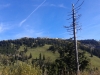 2012-09-25 11.13.10