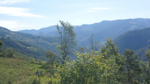 SONY DSC