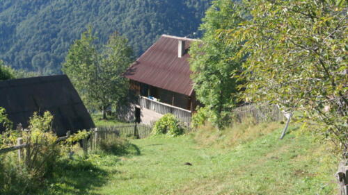 SONY DSC