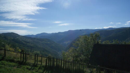 SONY DSC