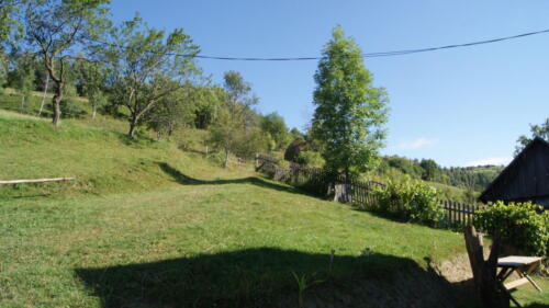 SONY DSC
