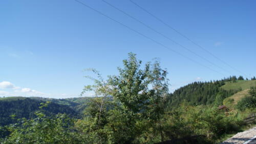 SONY DSC