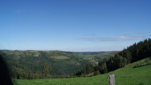 SONY DSC