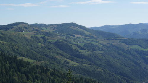 SONY DSC