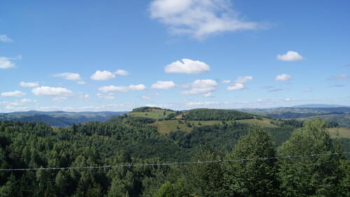 SONY DSC