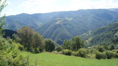 SONY DSC