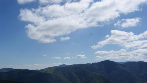 SONY DSC