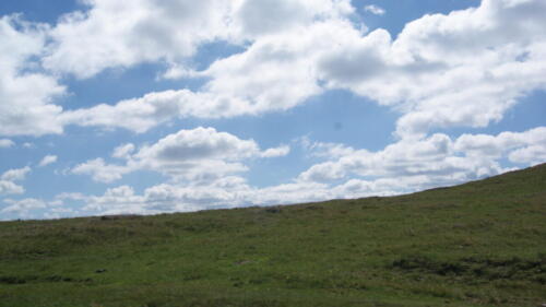 SONY DSC