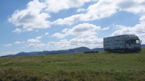 SONY DSC