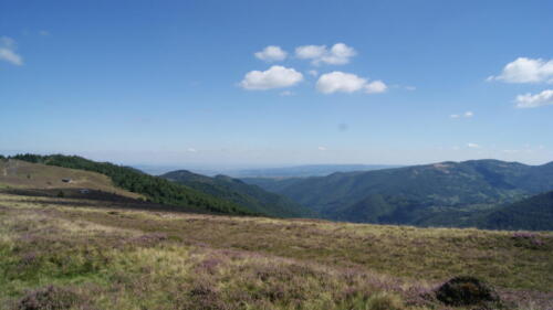 SONY DSC