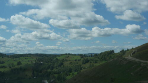 SONY DSC