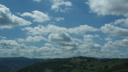 SONY DSC