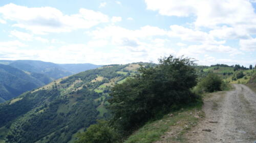 SONY DSC