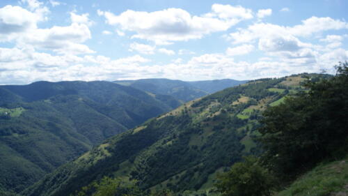 SONY DSC